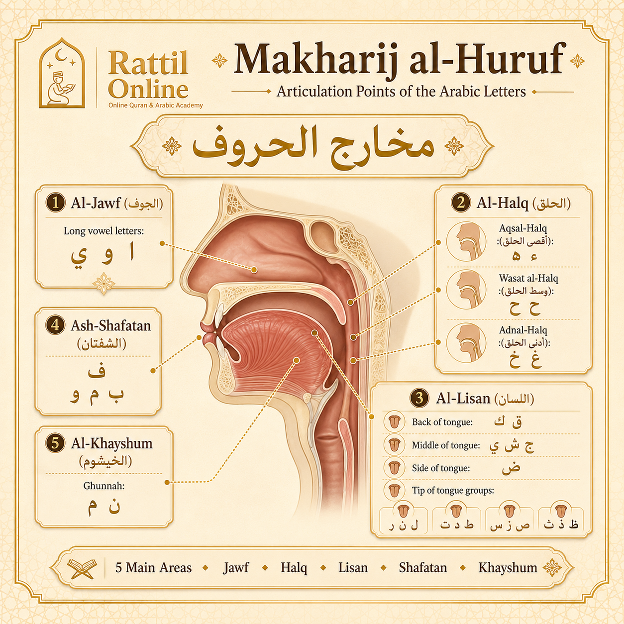 ChatGPT Image May 30 2026 05 36 12 AM Makharij al-Huruf