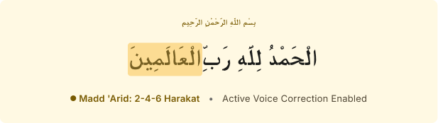 Interactive one-on-one online Quran lesson for children